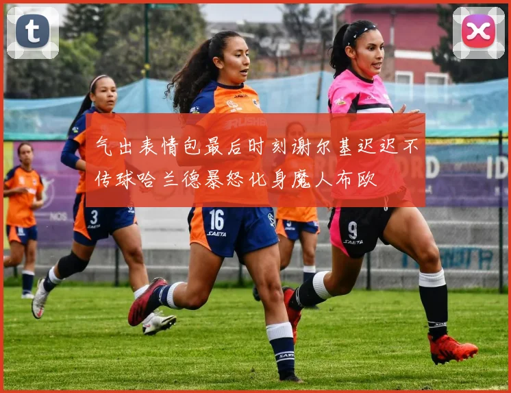 气出表情包最后时刻谢尔基迟迟不传球哈兰德暴怒化身魔人布欧