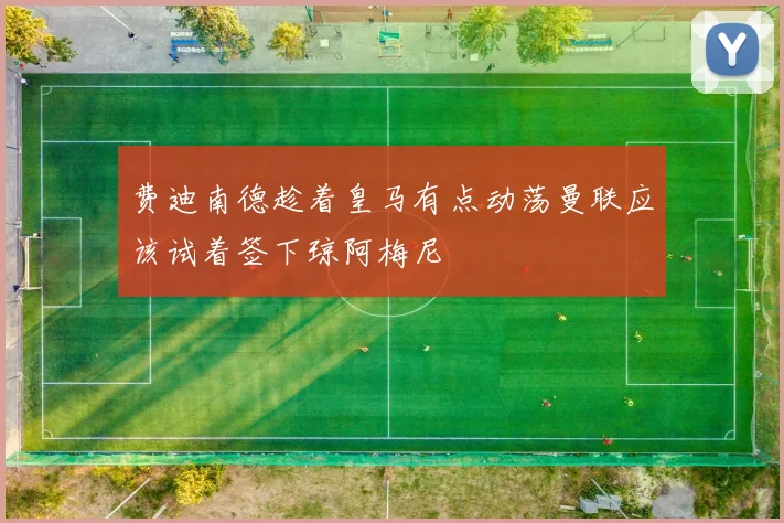 费迪南德趁着皇马有点动荡曼联应该试着签下琼阿梅尼